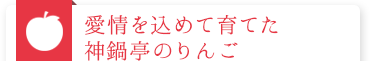 愛情を込めて育てた神鍋亭のりんご