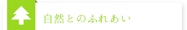 自然とのふれあい